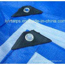 China Plastic Tarpaulin Supplier, Linyi Plastic Tarp Factory